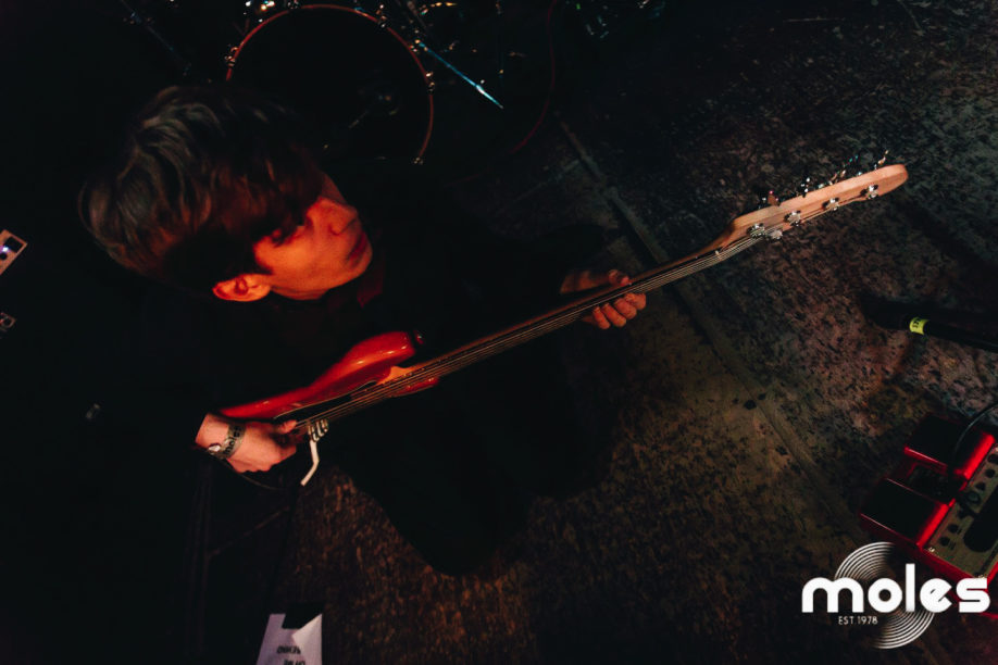 Discount Columbo at Moles nightclub in Bath